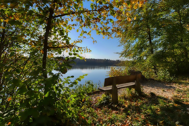 球衣设计中 球衣设计中