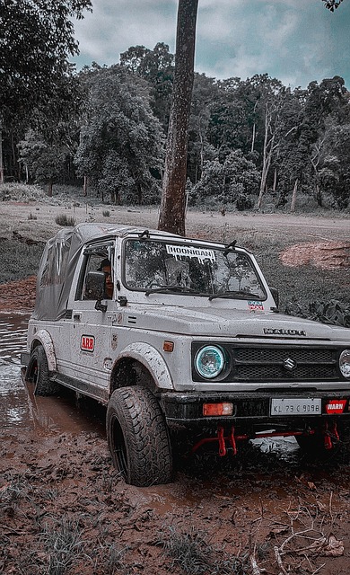 佳的球感与 佳的球感与