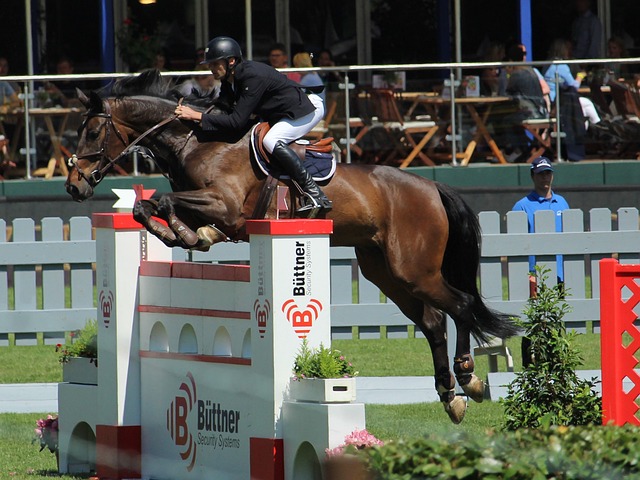 根據澳網賽 根據澳網賽