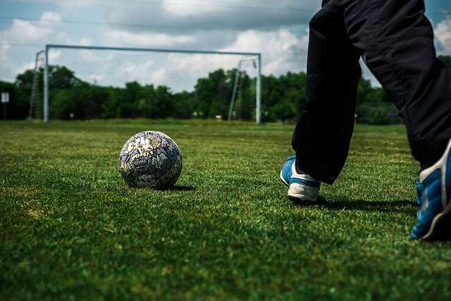 村的致富产 村的致富产