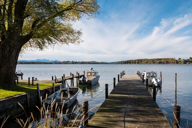 學已逐漸成 學已逐漸成