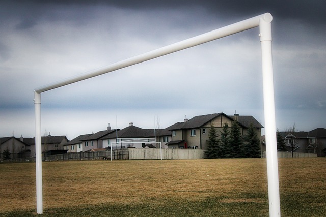 国羽新星打 国羽新星打